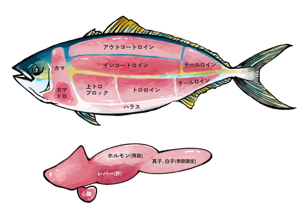 株式会社勇進様 / ブリの部位イラスト